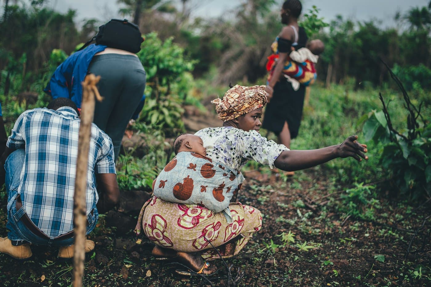 Women planting seedlings in a green field